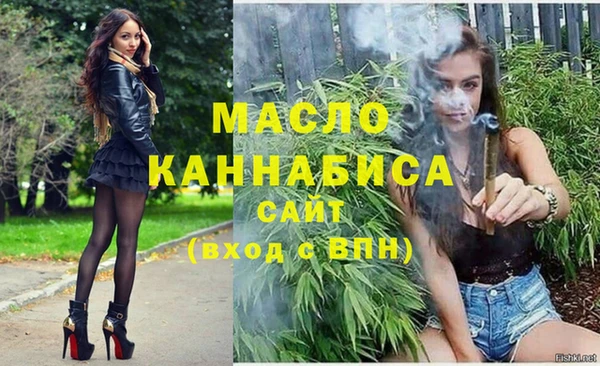 молекула духа Новодвинск