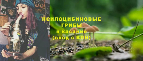 ПСИЛОЦИБИНОВЫЕ ГРИБЫ Алексеевка