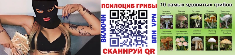 продажа наркотиков Балашиха Галлюциногенные грибы мухоморы